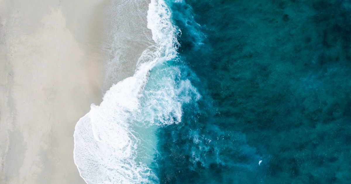 Grado de Ciencias del Mar: descubre cómo es