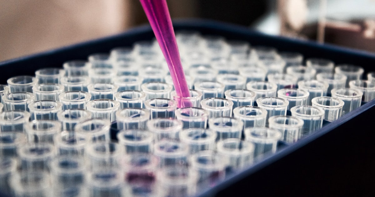 Grado de Ingeniería Biomédica: descubre cómo es