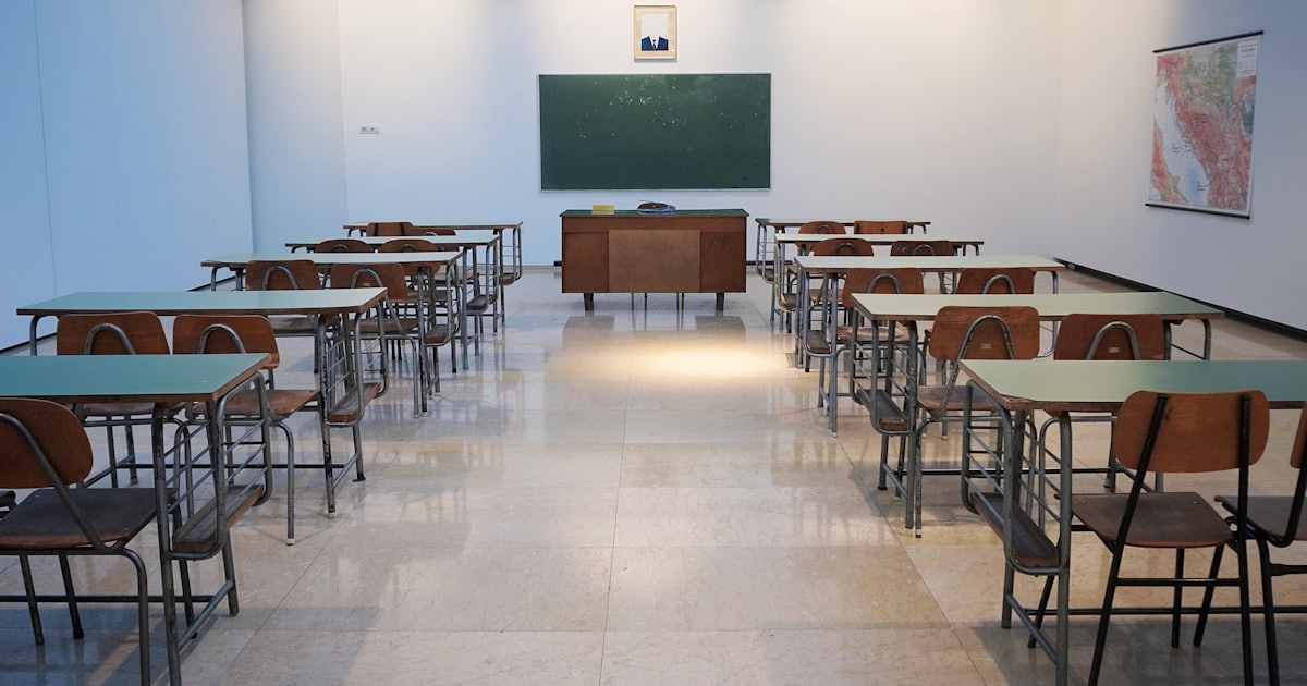 Grado de Magisterio / Educación Primaria: descubre cómo es