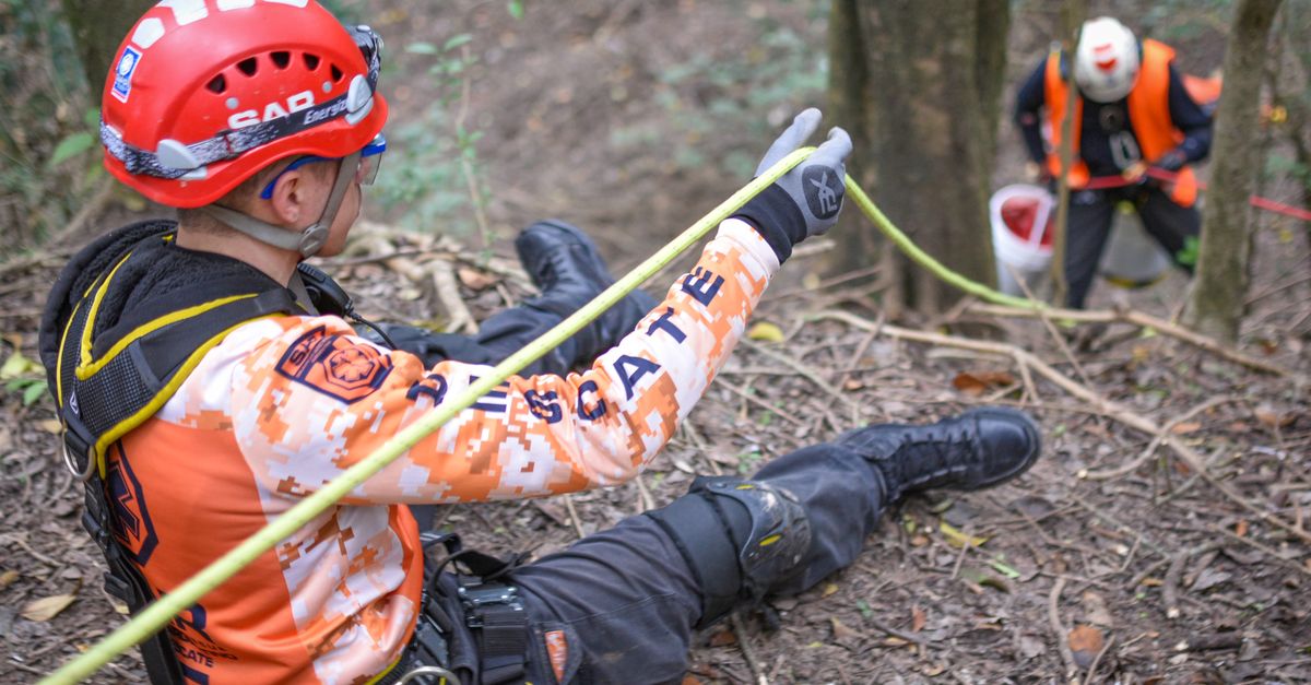 Ciclo de Coordinación de Emergencias y Protección Civil: descubre cómo es